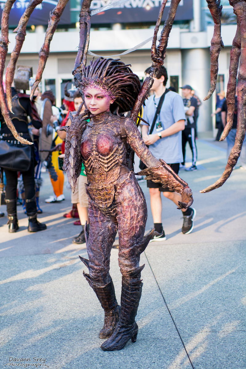 Illustration for article titled The Most Mind-Blowing and Astonishing Cosplay From BlizzCon 2015!